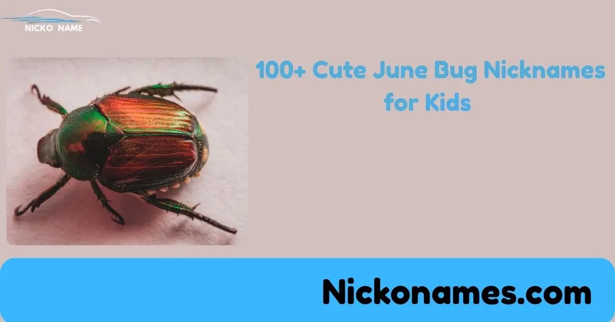 Cute illustration of June Bug nickname with cartoon beetle and playful letters