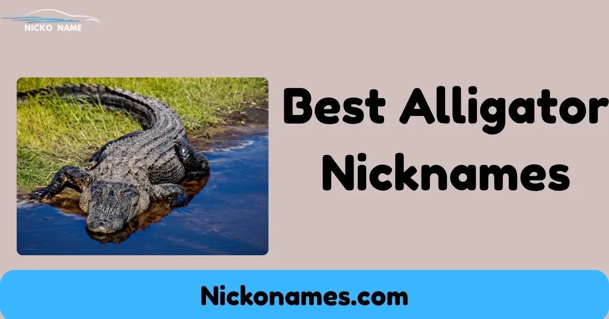 A cute cartoon alligator with a funny face representing creative alligator nicknames for pets and characters