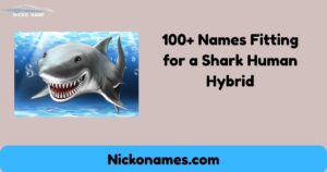 shark-human-hybrid-names.jpg