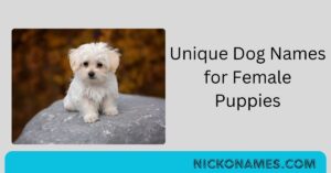 Unique Dog Names for Female Puppies The Ultimate Guide
