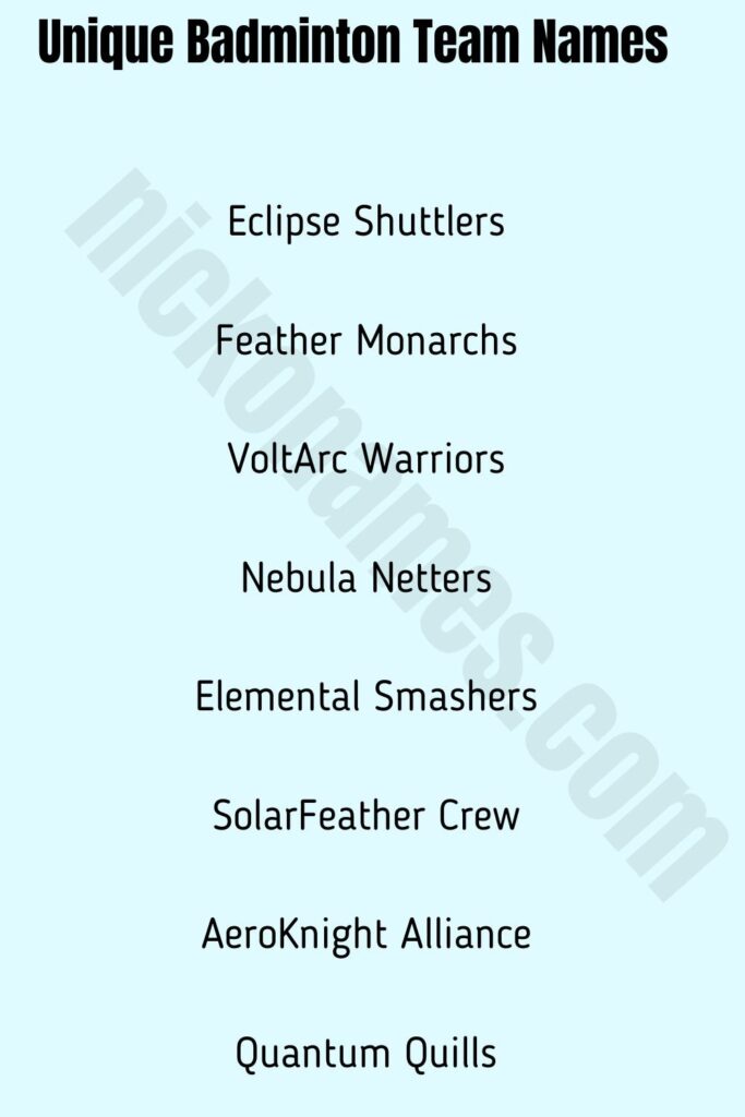 Unique Badminton Team Names